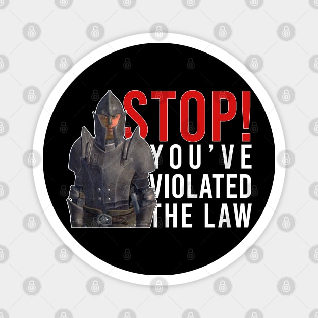 Stop! You've Violated The Law Magnet by artsylab